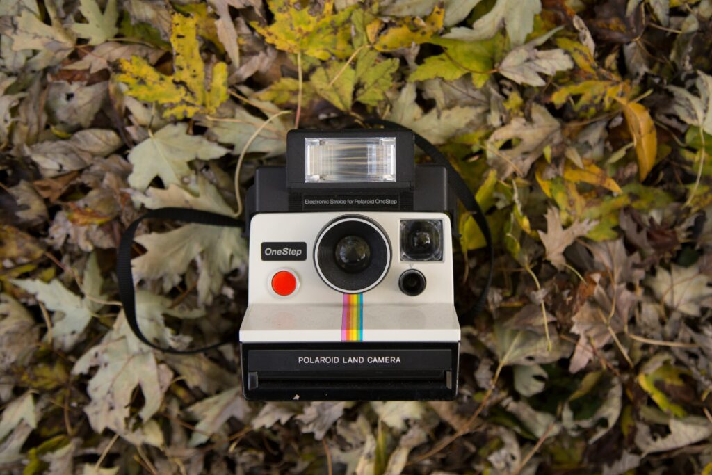 Discover the Game-Changing Impact of Instagram Reels on Marketing Strategies